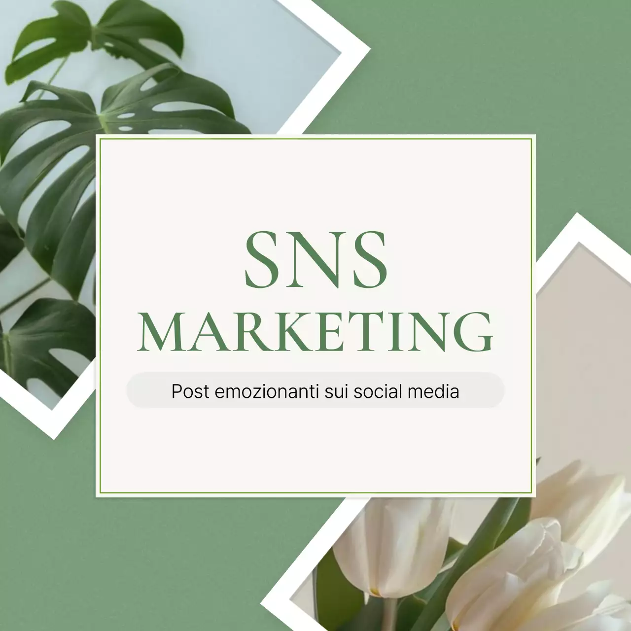 Promuovere un feed di social media marketing moderno e verde