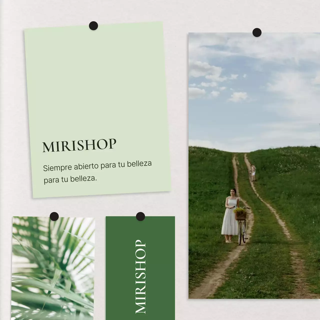 Promover un marketing de marca ecológico y moderno en las redes sociales