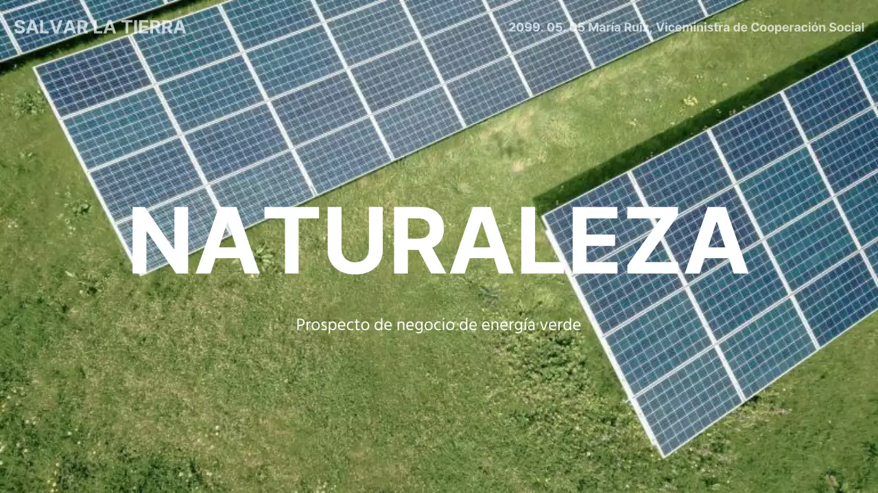 Introducción básica al negocio de la energía verde