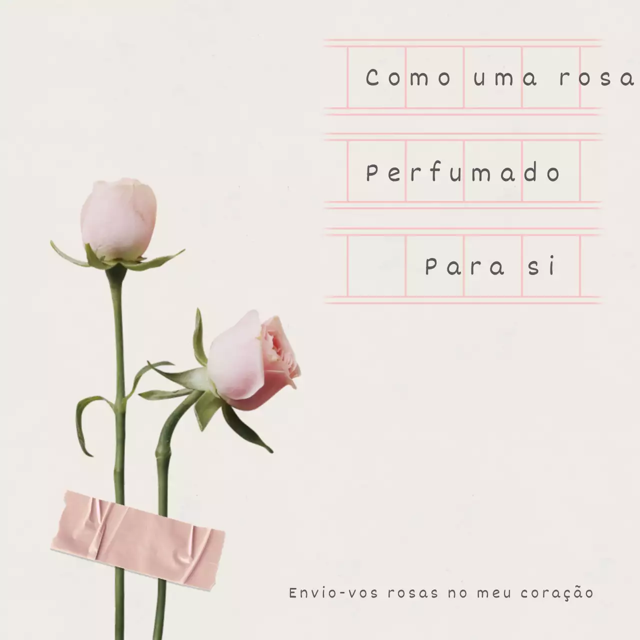 Um simples post sobre o Dia das Rosas em rosa e bege