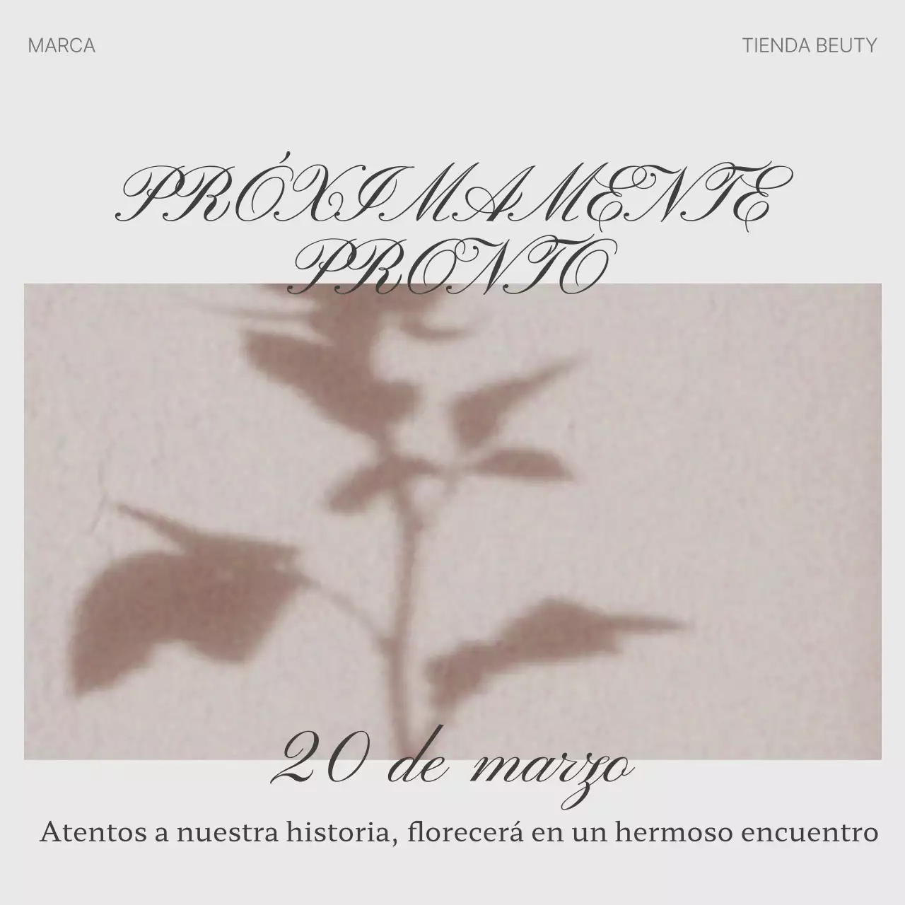 Promueva un canal de marketing en redes sociales a la última en beige y gris