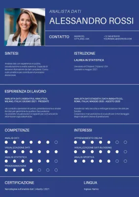 Portafoglio analista dati semplice blu e bianco