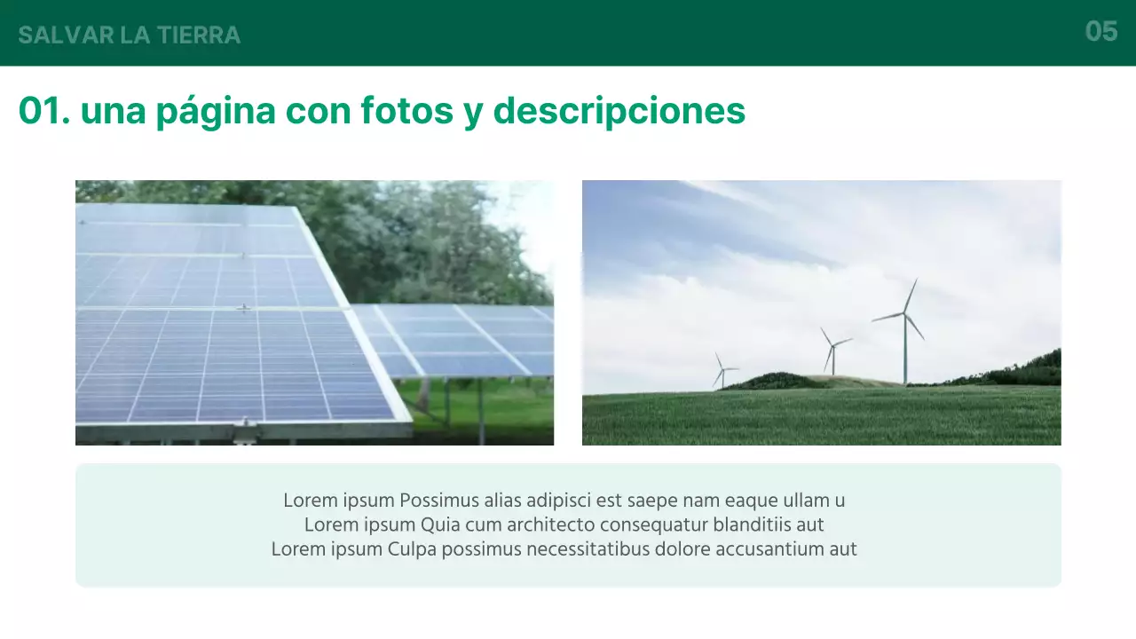Introducción básica al negocio de la energía verde