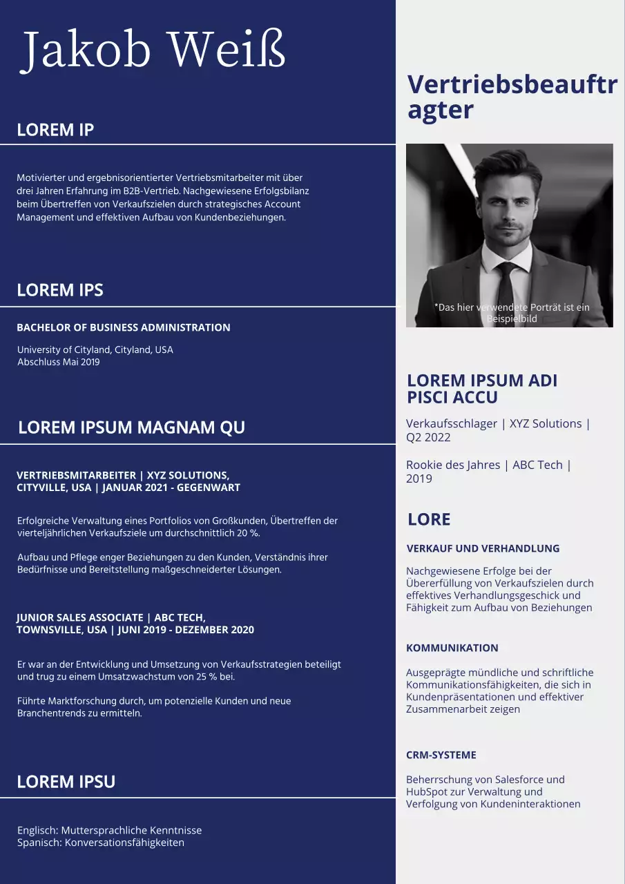 Blau-weißes einfaches Portfolio für Vertriebsmitarbeiter