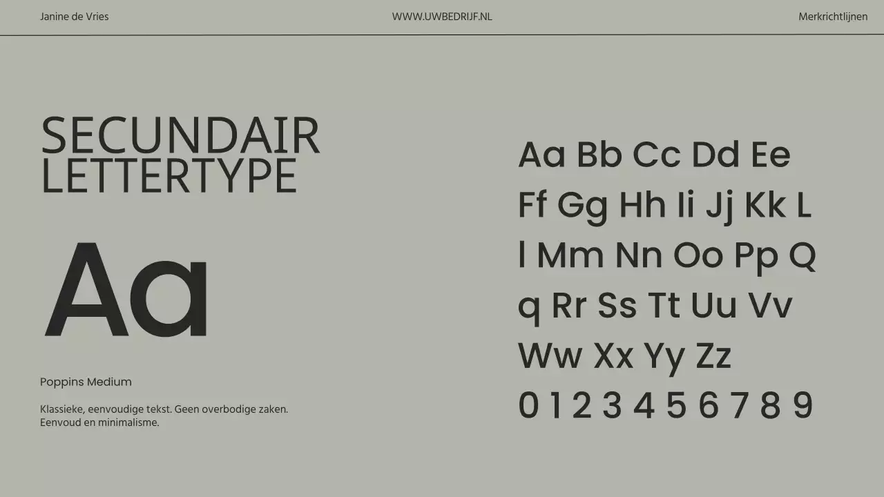 Beige en grijs minimalistisch moderne merkrichtlijnen