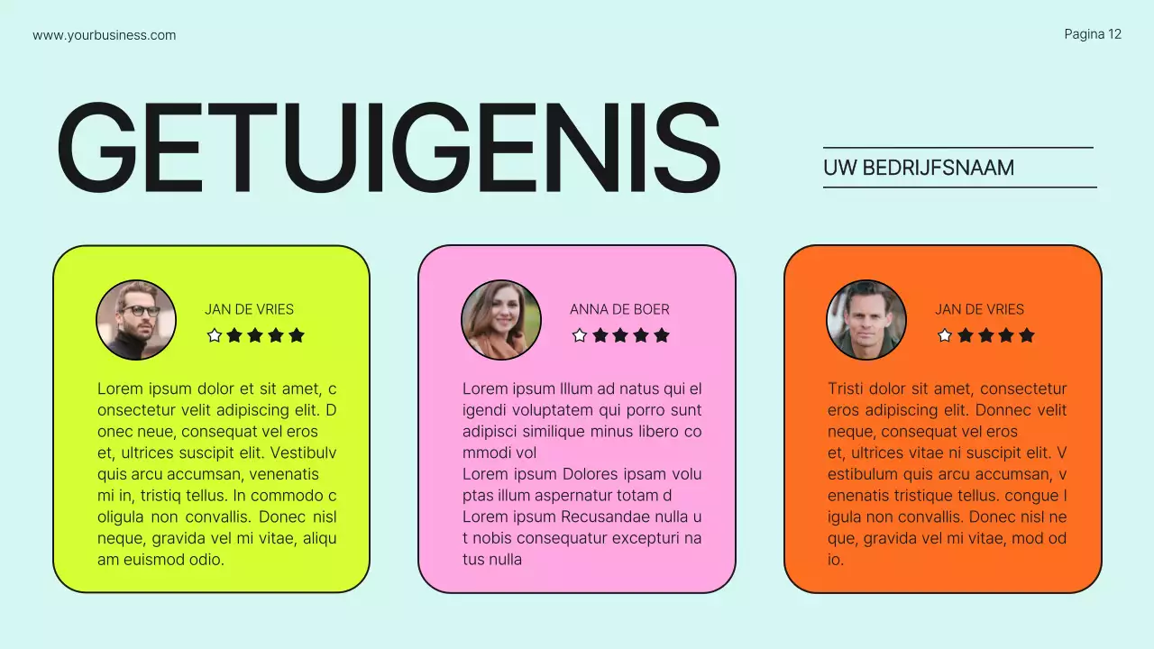 Lime Orange Bold Bedrijfsprofiel Introductie