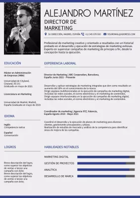 Cartera del Director de Marketing Moderno Gris y Azul