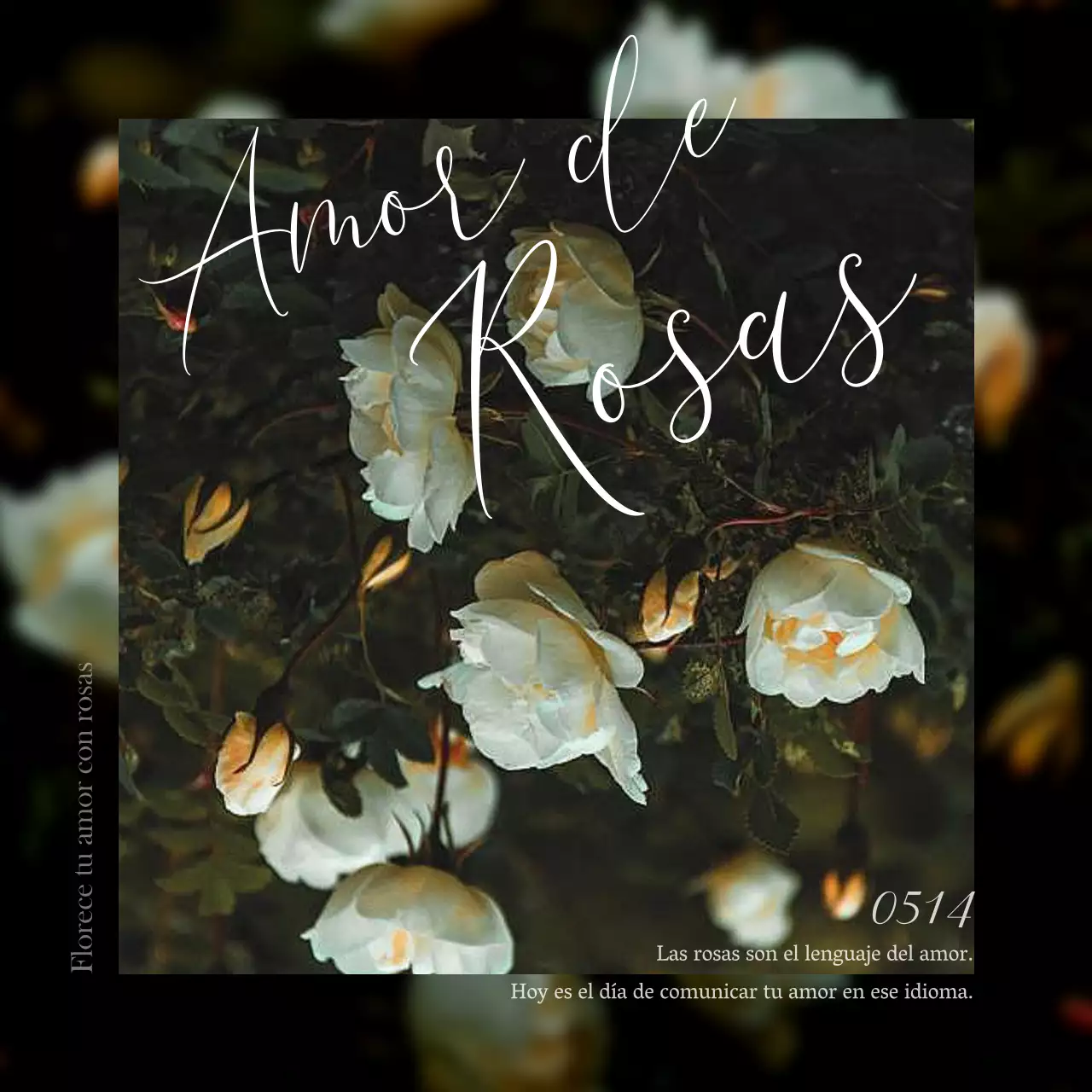 Un anuncio minimalista del Día de la Rosa en blanco y gris