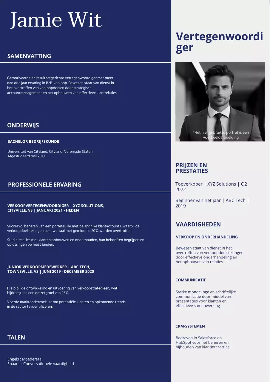 Blauw-wit Portfolio Eenvoudige Verkoopvertegenwoordiger