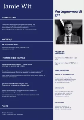 Blauw-wit Portfolio Eenvoudige Verkoopvertegenwoordiger