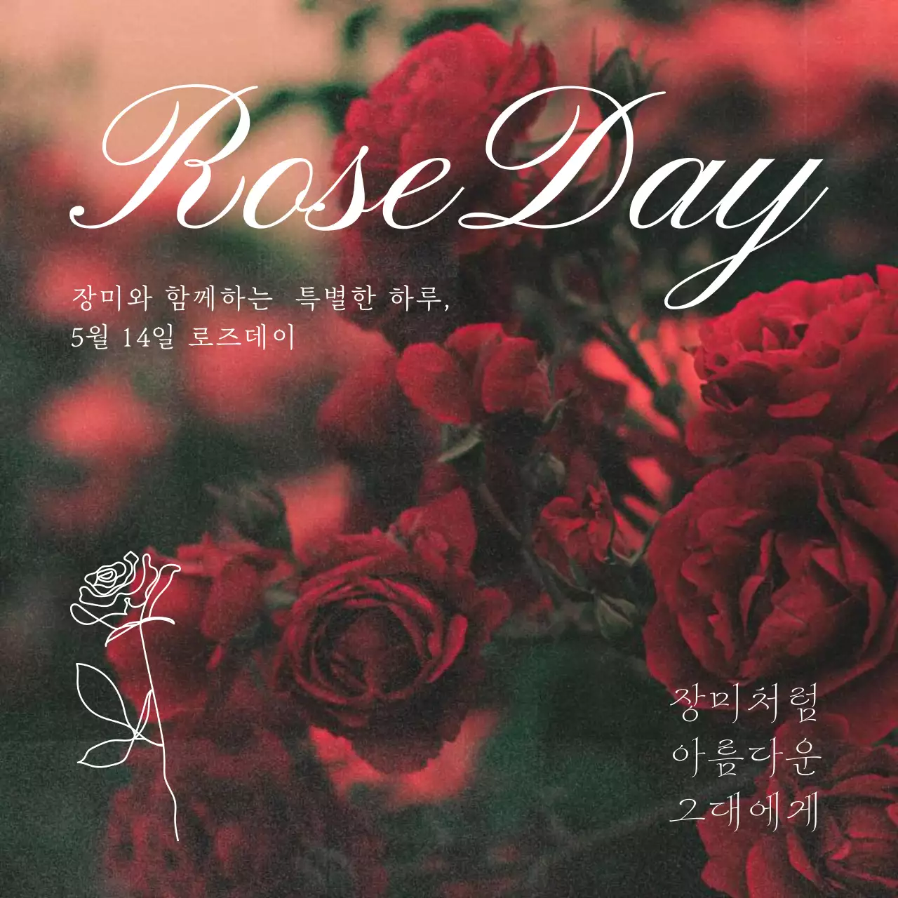 빨강과 흰색의 심플한 로즈데이 홍보
