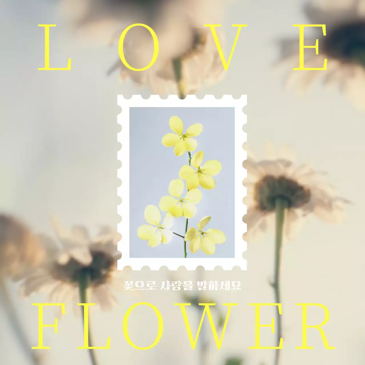 노랑의 심플한 감사의달 홍보