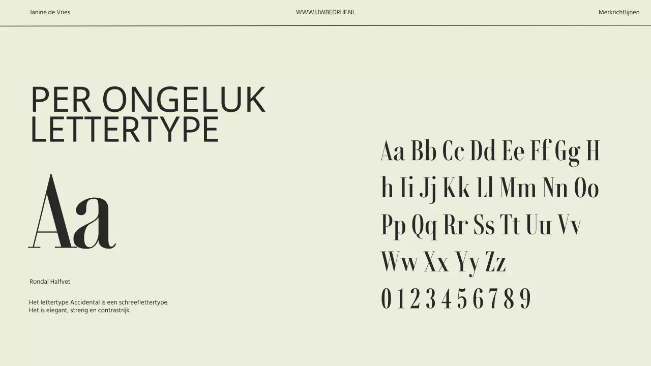 Beige en grijs minimalistisch moderne merkrichtlijnen