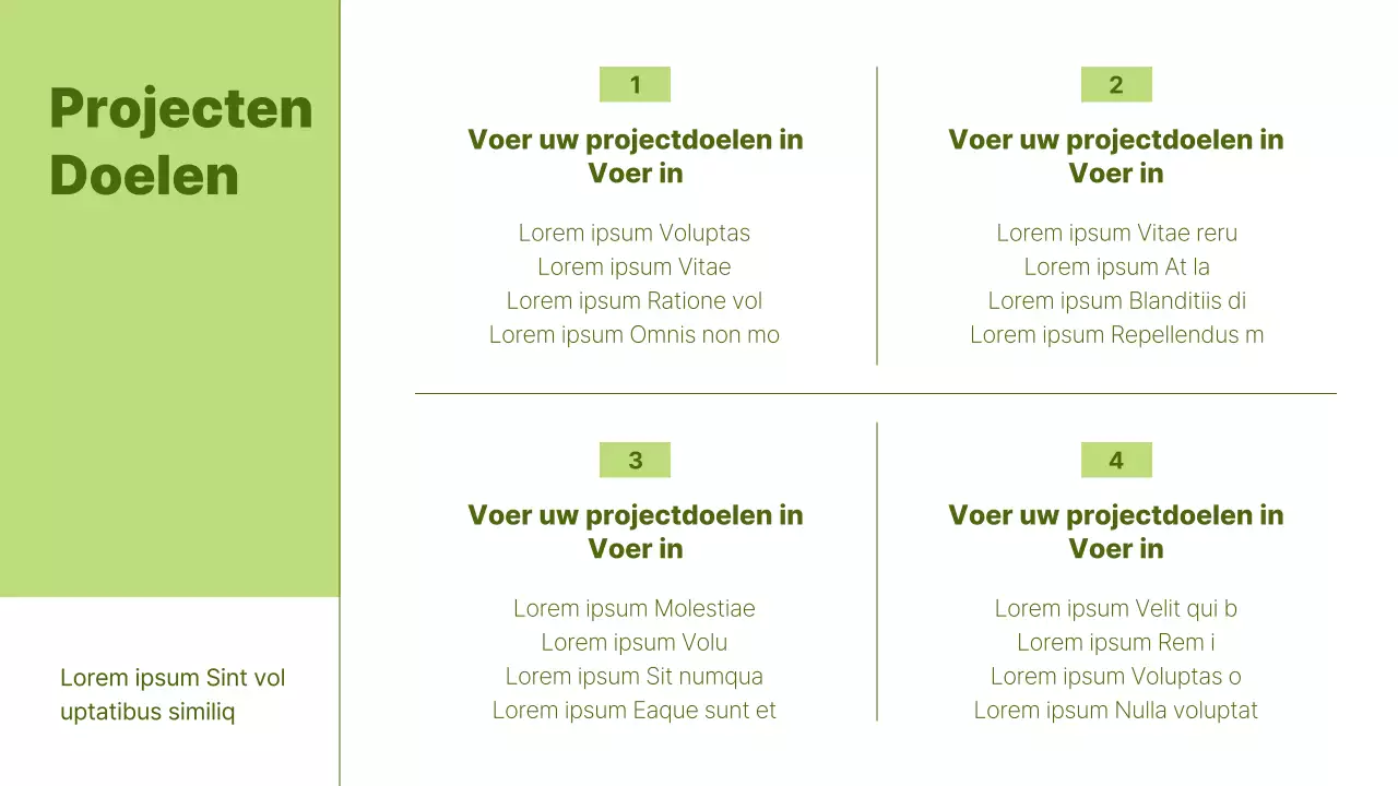 Basis samenwerkend projectrapport in samenvatting