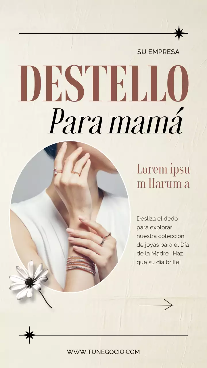 Beige y marrón elegante Regalos exclusivos de joyería para mamá promoción