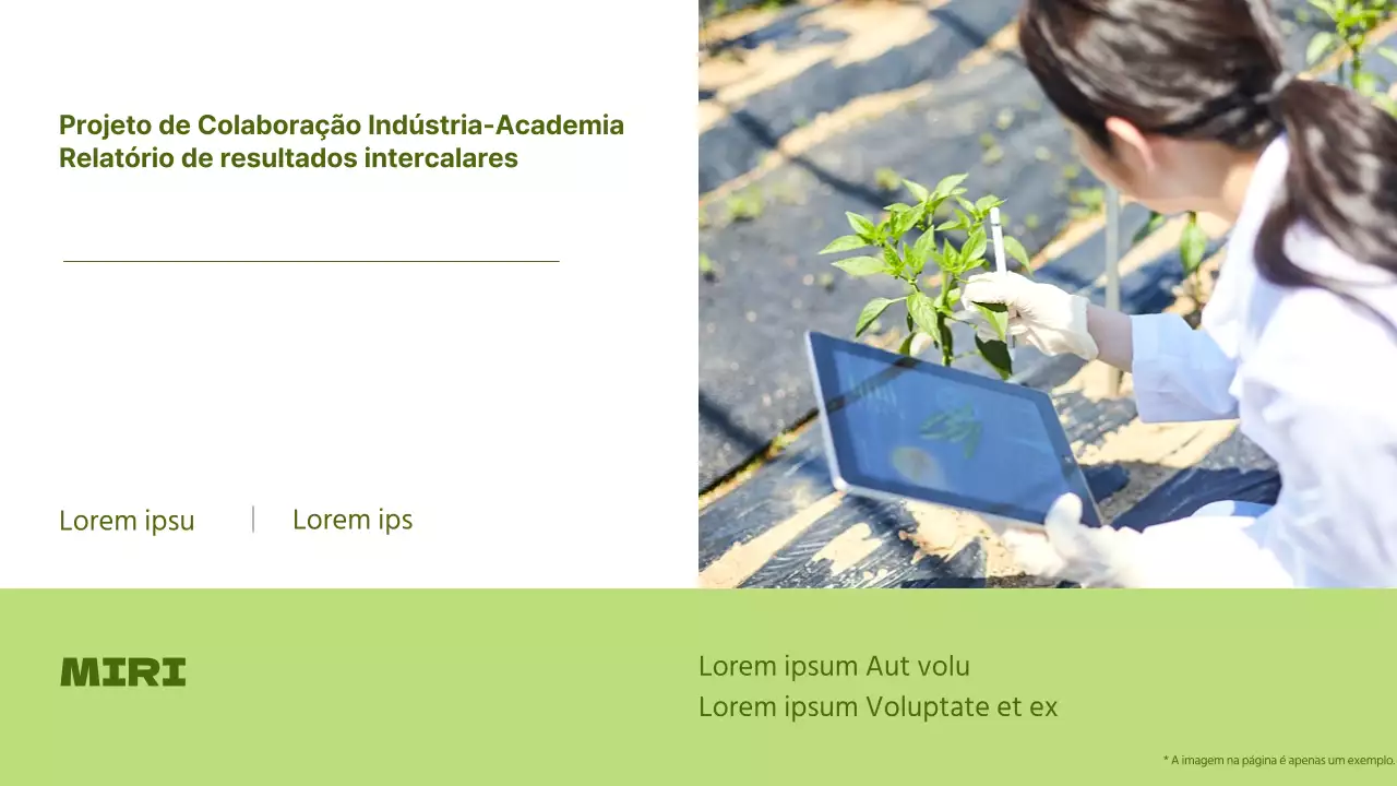 Relatório de base de um projeto de colaboração em resumo