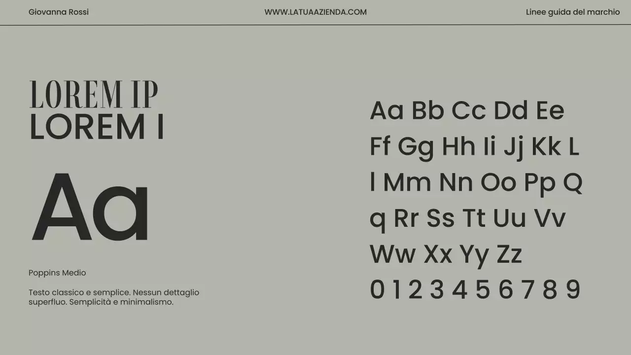 Linee guida del marchio moderno minimalista beige e grigio