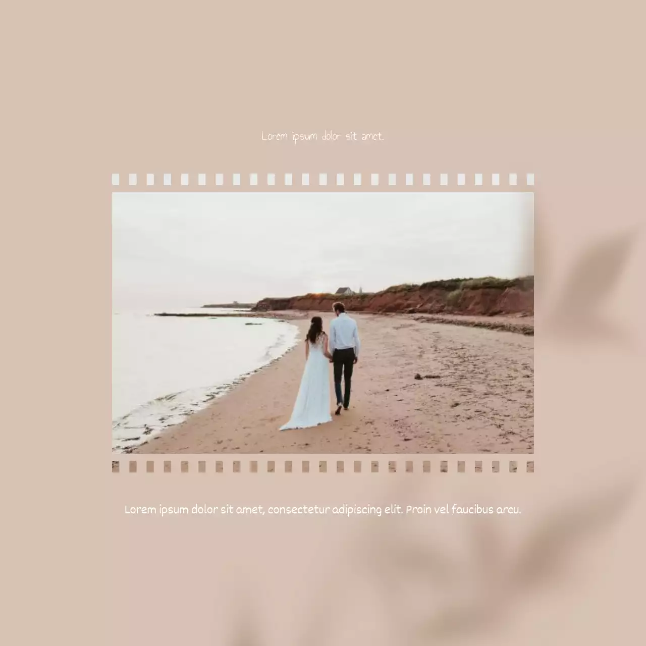 Negócio de casamento elegante em marfim
