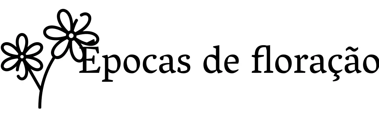 Mercadoria sentimental com ilustrações florais e tipos de letra serifados