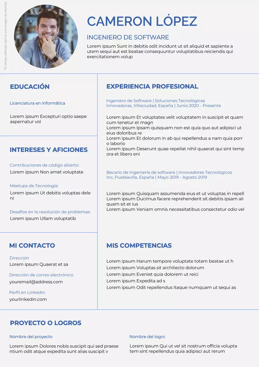 Gris y azul Cartera simple de ingeniero de software