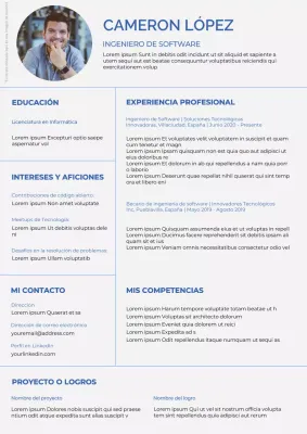 Gris y azul Cartera simple de ingeniero de software