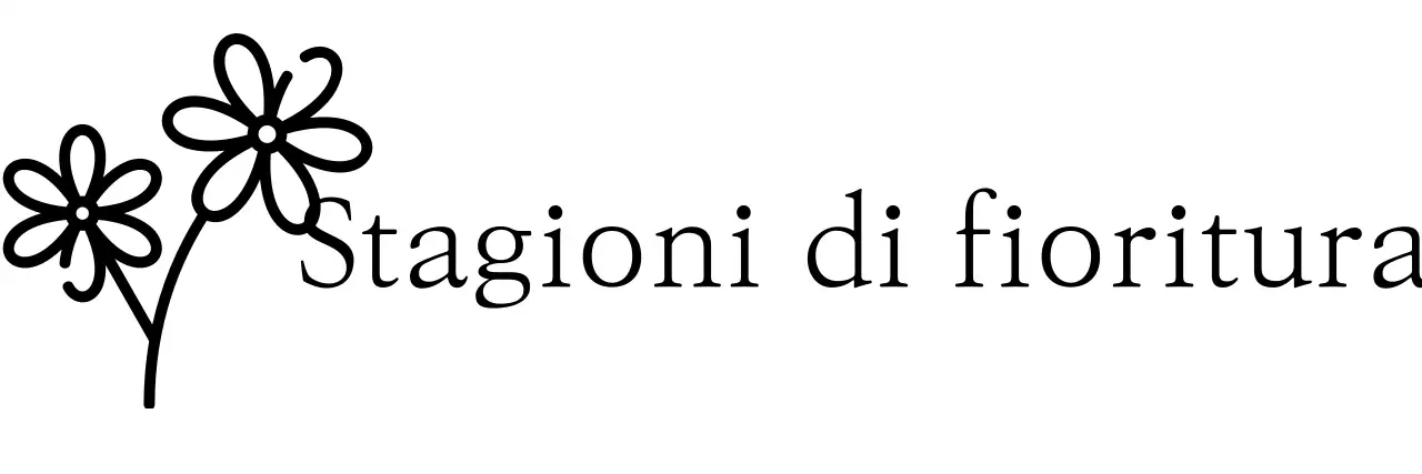 Merchandising sentimentale con illustrazioni floreali e font serif