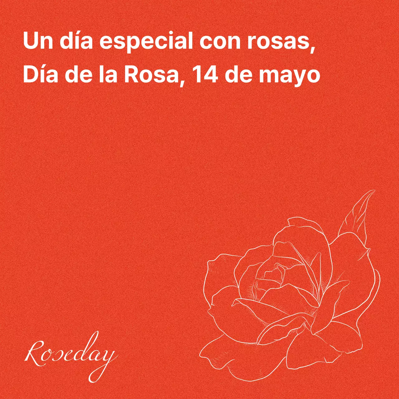 Promueva el Día de la Rosa con sencillas rosas en rojo