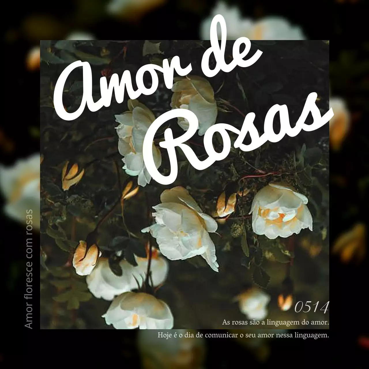 Um anúncio minimalista do Dia das Rosas em branco e cinzento