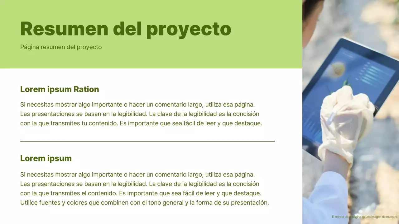 Informe del proyecto básico de colaboración en resumen