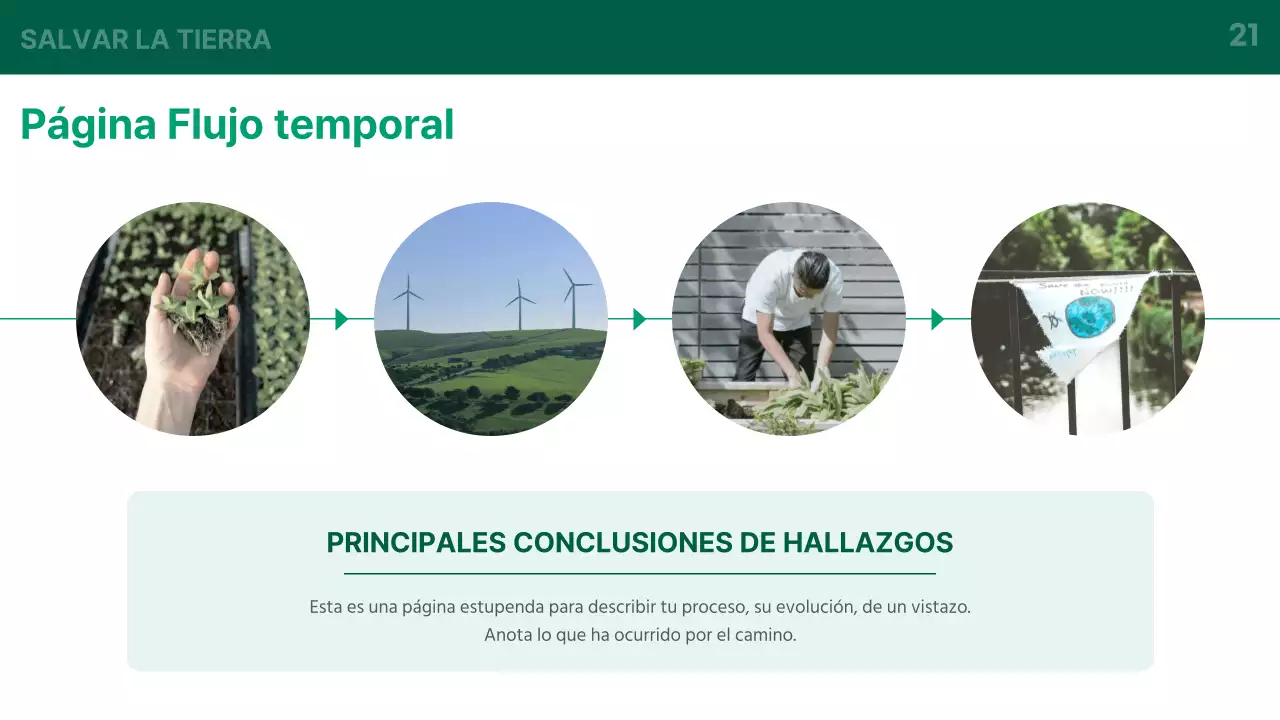 Introducción básica al negocio de la energía verde