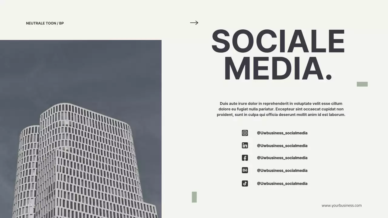 Beige Minimal Modern Profiel Bedrijfs Introductie