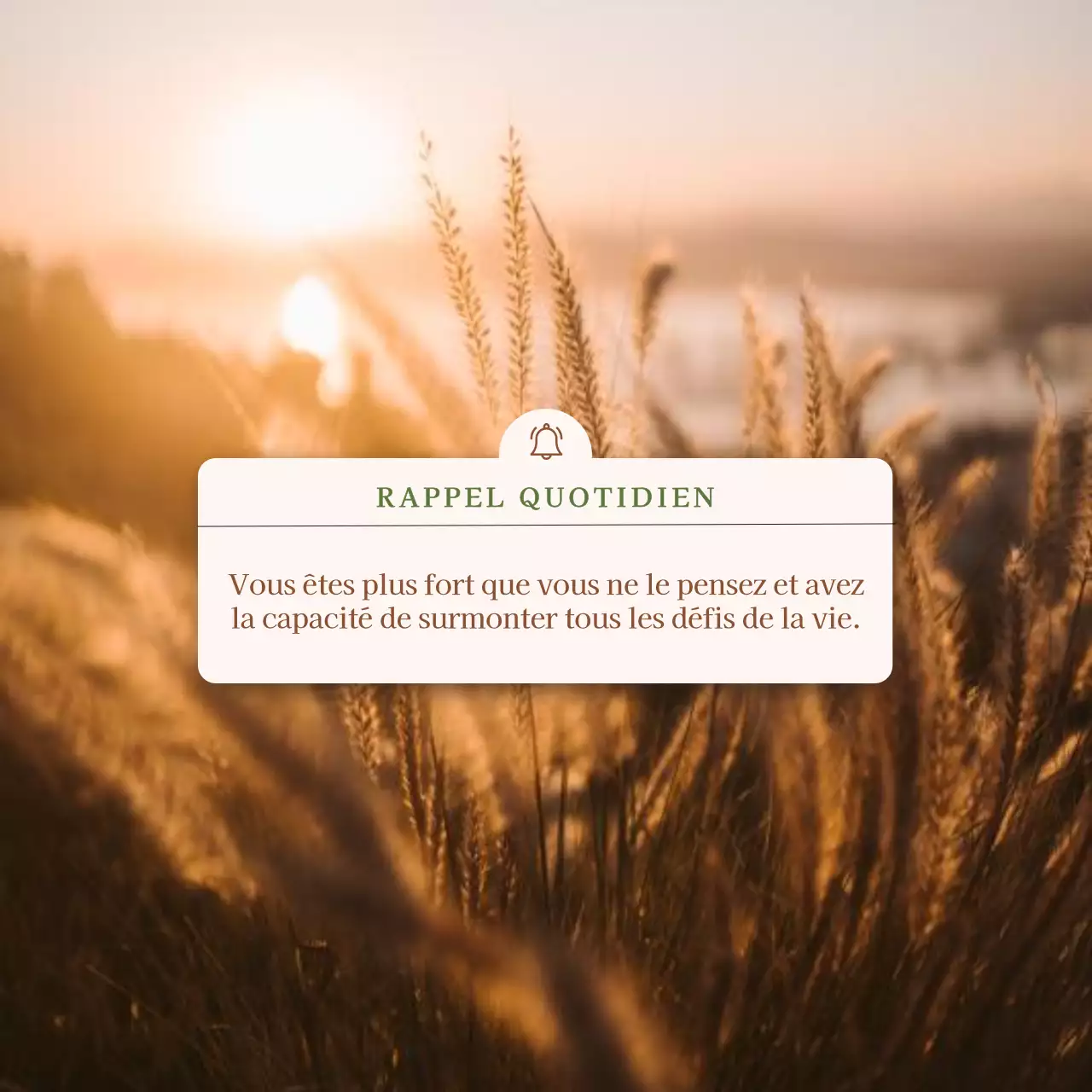 Citation inspirante et motivante d'Orange pour un rappel quotidien