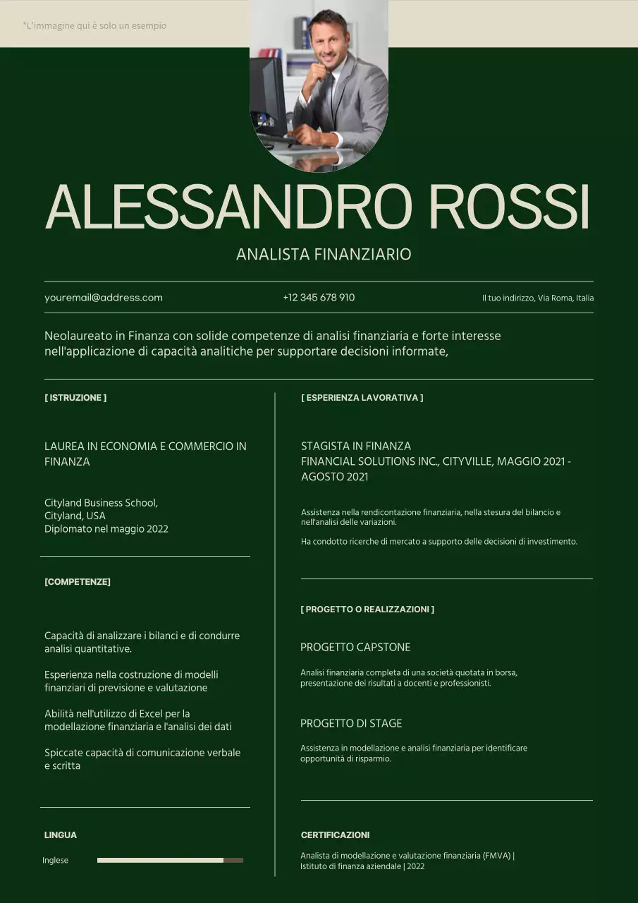 Portafoglio semplice per analisti finanziari verde e beige