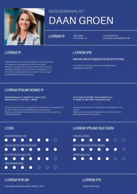 Blauw-witte eenvoudige gegevensanalist portefeuille