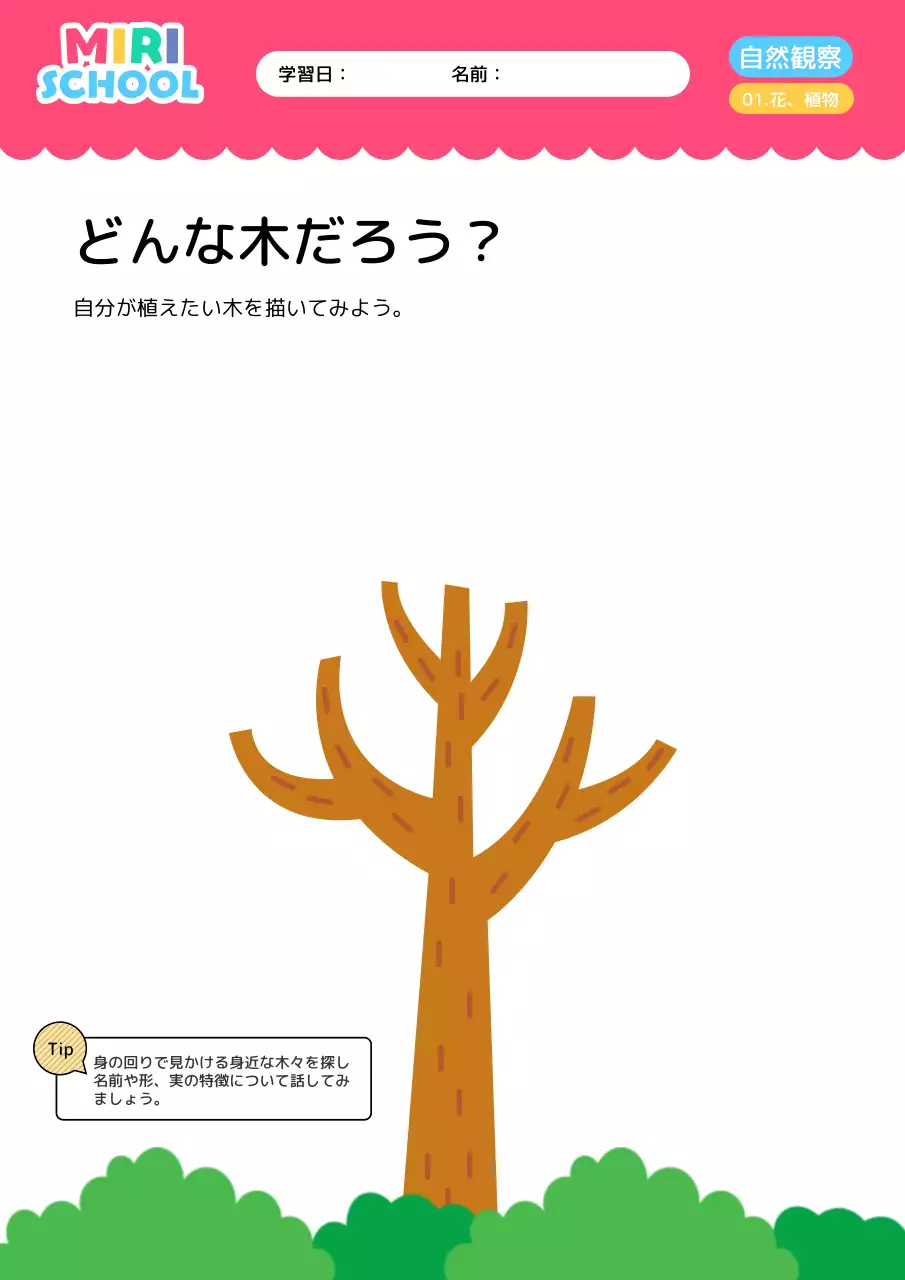 ピンク 子供向け 自然観察 シート 文書フォーム