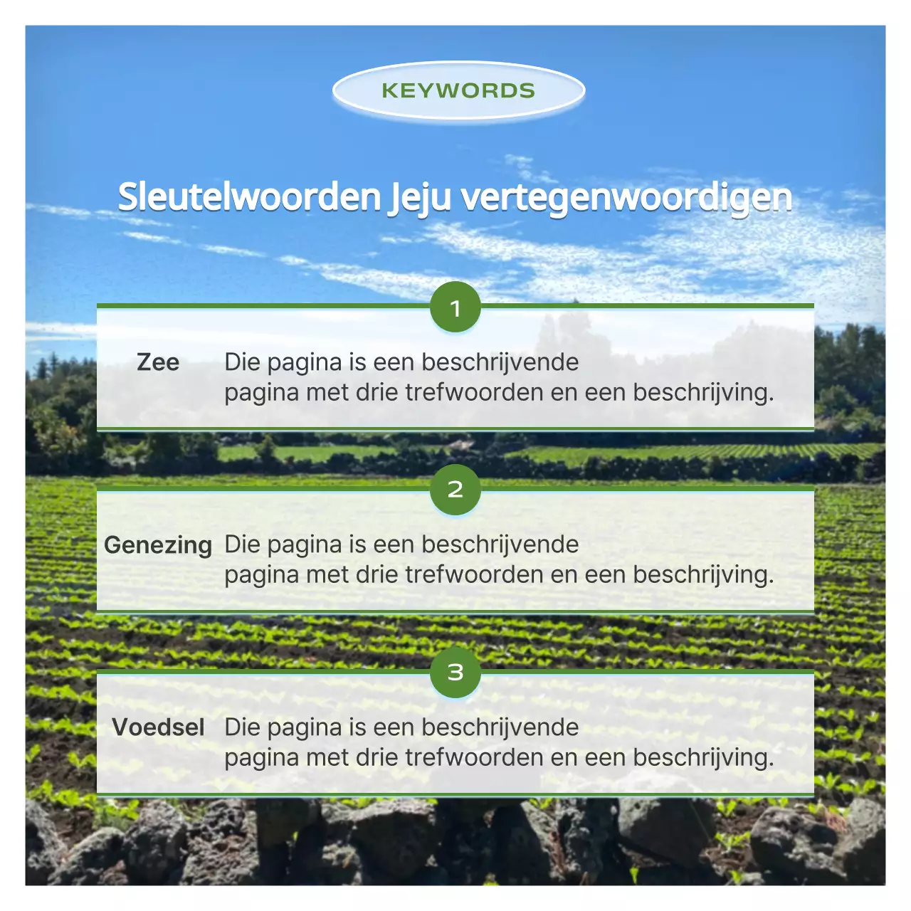 Een moderne Jeju-wijkgids in lichtgroen en hemelsblauw