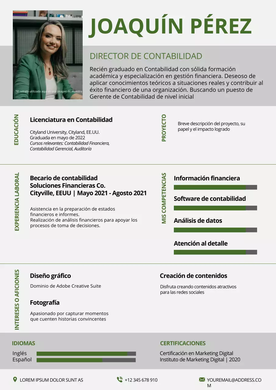 Cartera del Gestor Contable Simple Verde y Gris