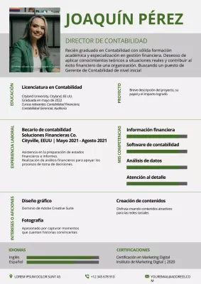 Cartera del Gestor Contable Simple Verde y Gris