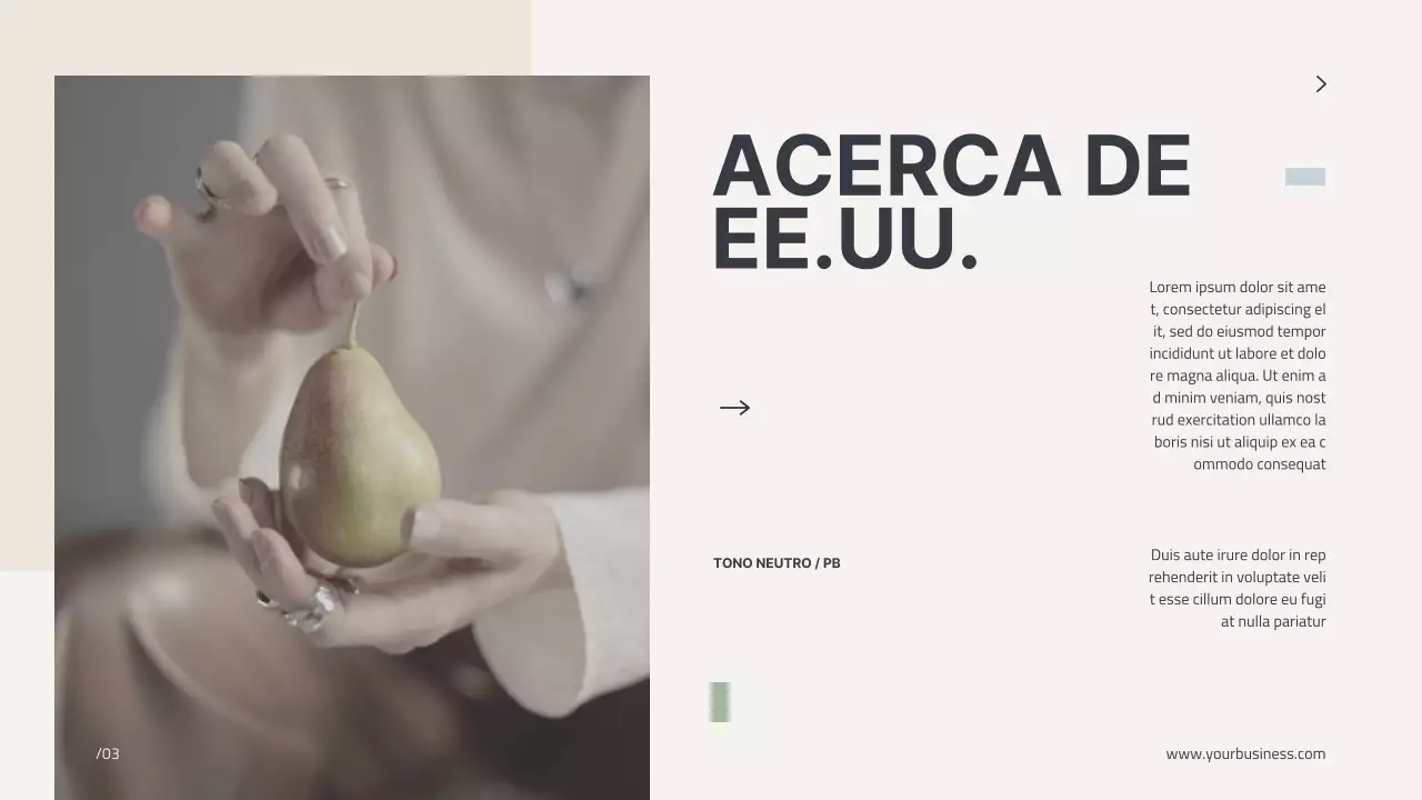 Beige Minimal Perfil Moderno Presentación de la empresa