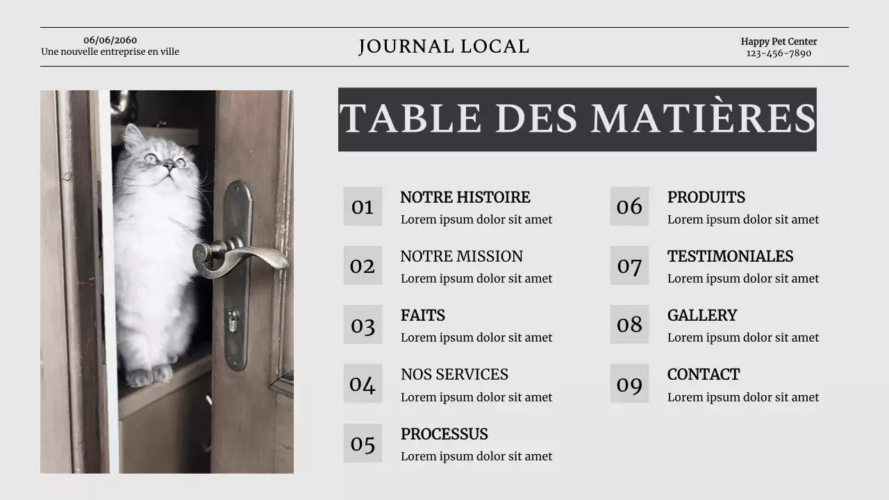 Grey Classic Pet Business Présentation de la société