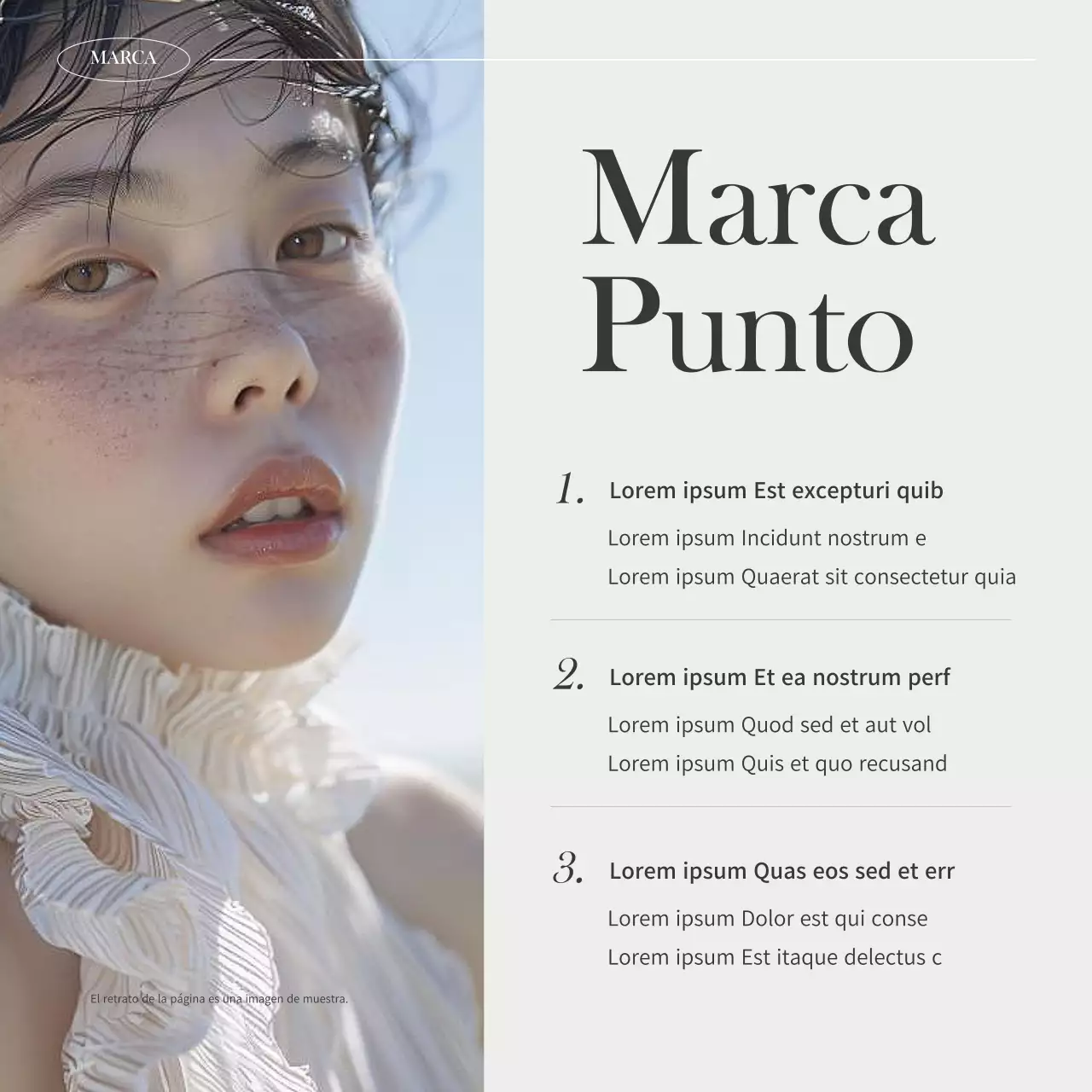 Promover el moderno pienso de marca Ivory