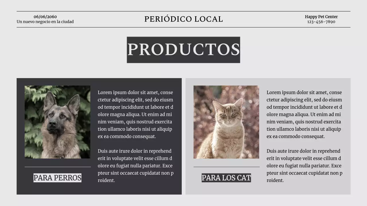 Presentación de la empresa Grey Classic Pet Business