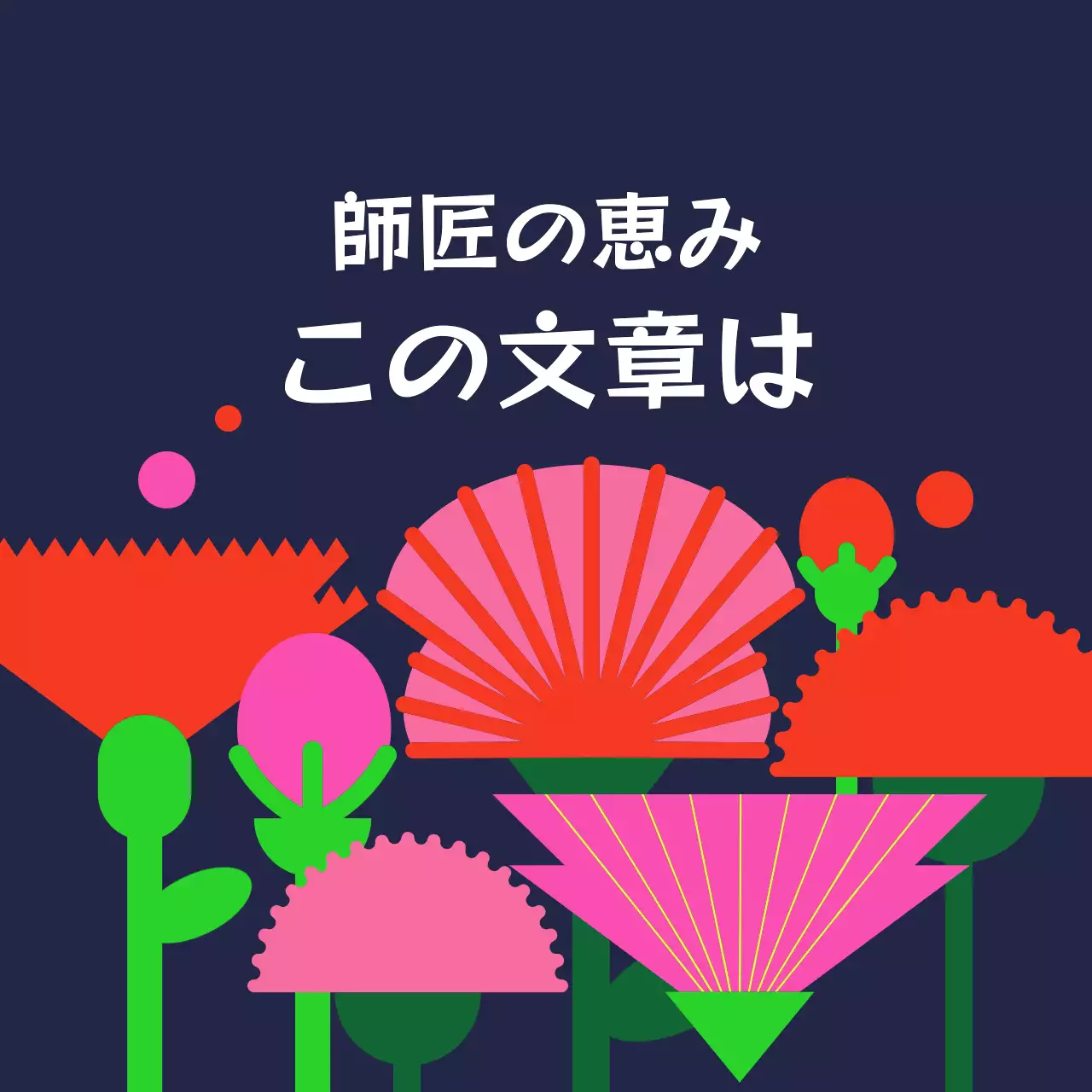 暗い背景の師走のカーネーションの花畑