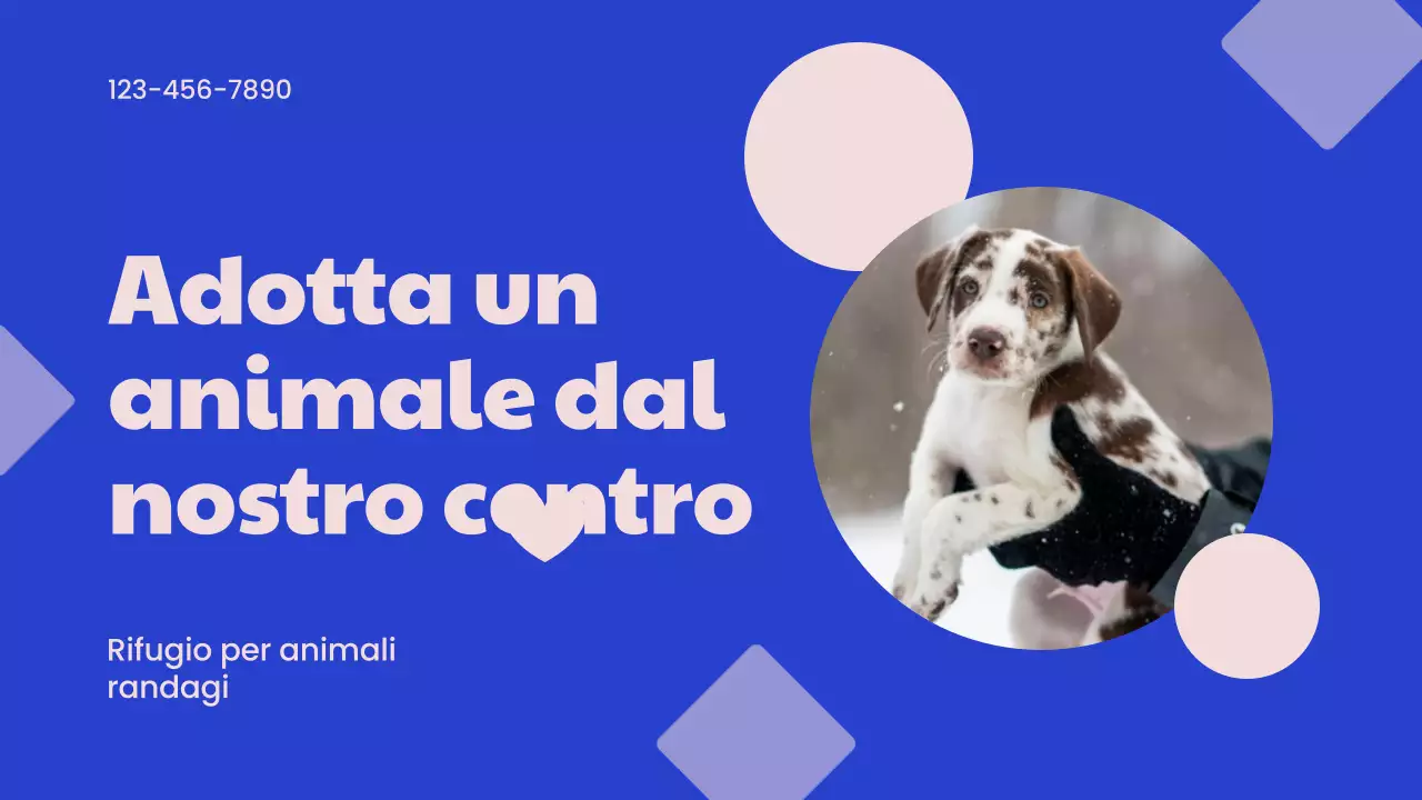 Campagna del Centro adozioni moderne blu e rosa