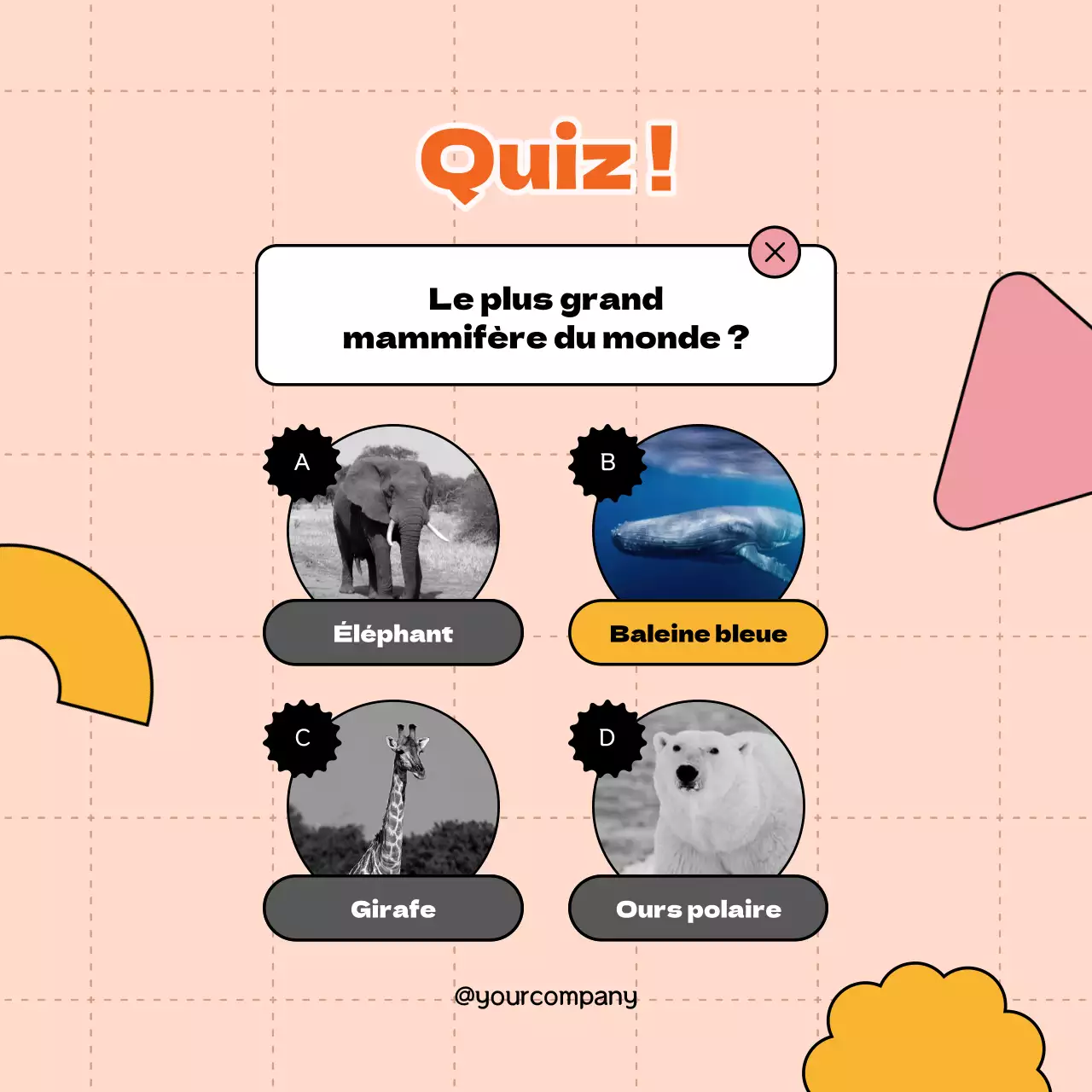 Orange Simple Trivia Quiz Publicité