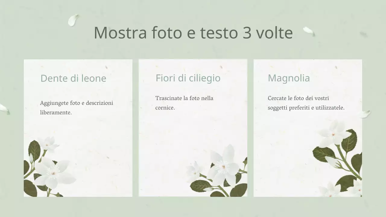 Pianta a fiore bianco orientale per annuali