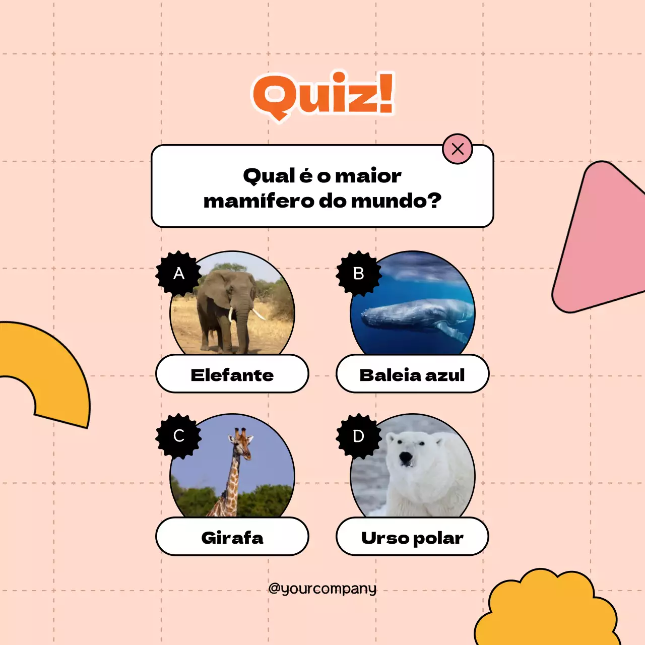Orange Simple Trivia Quiz Publicidade