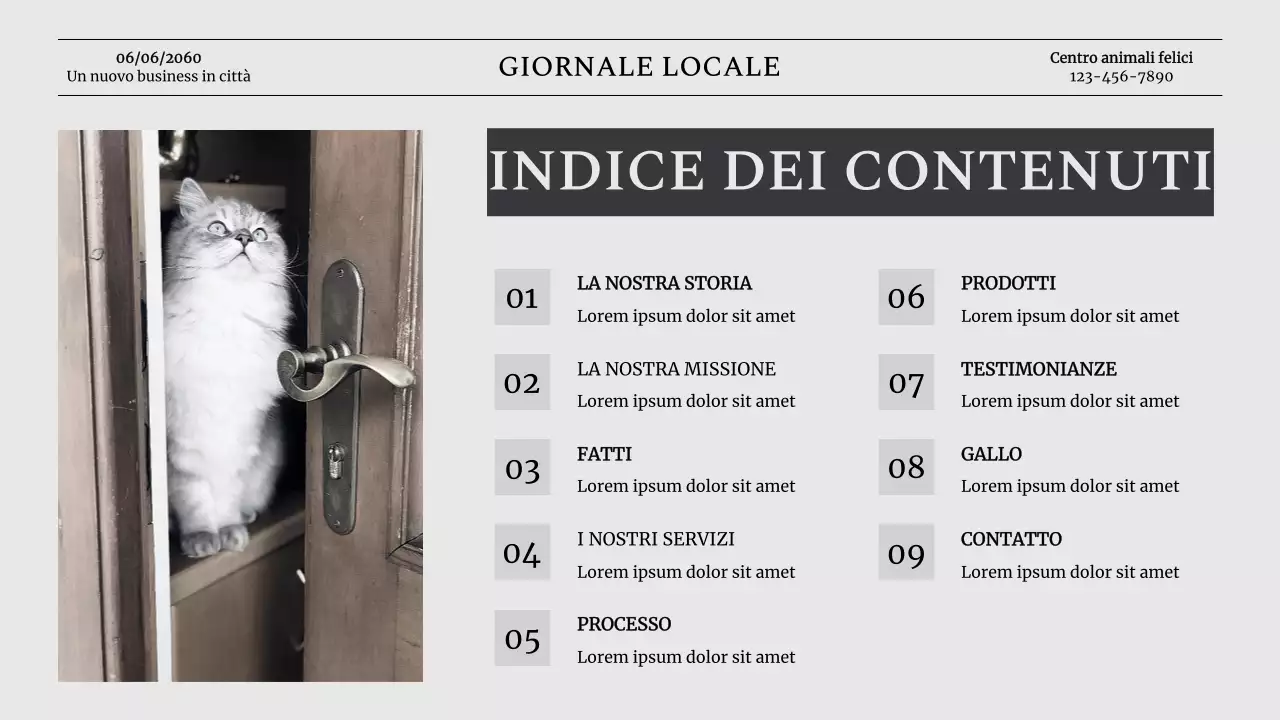 Introduzione dell'azienda Grey Classic Pet Business