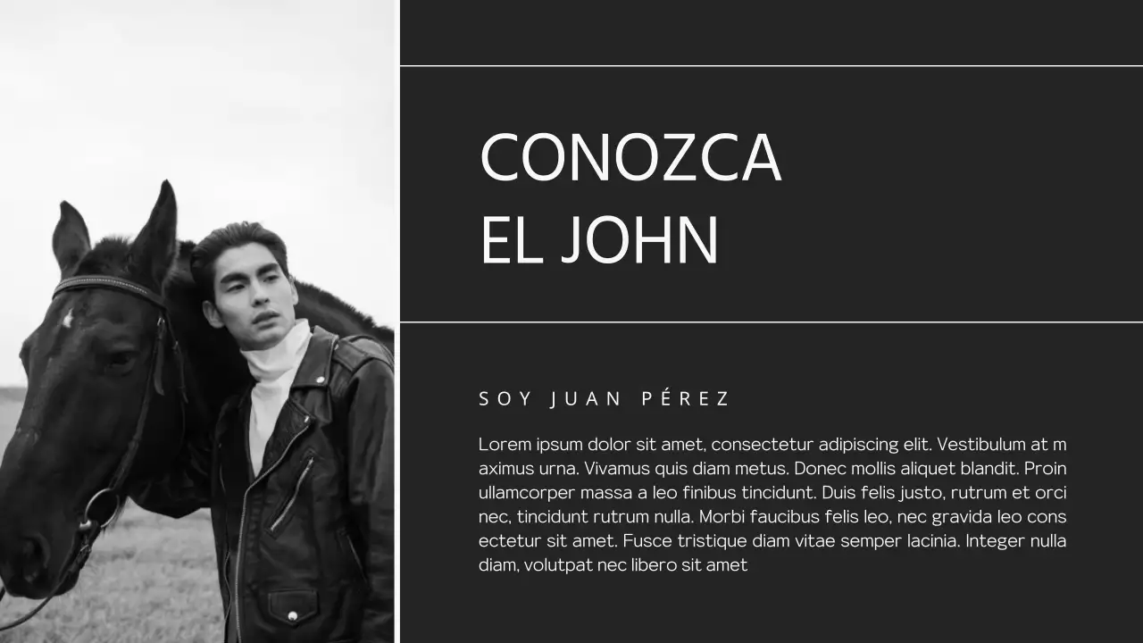 Cartera de fotógrafo minimalista en gris y negro