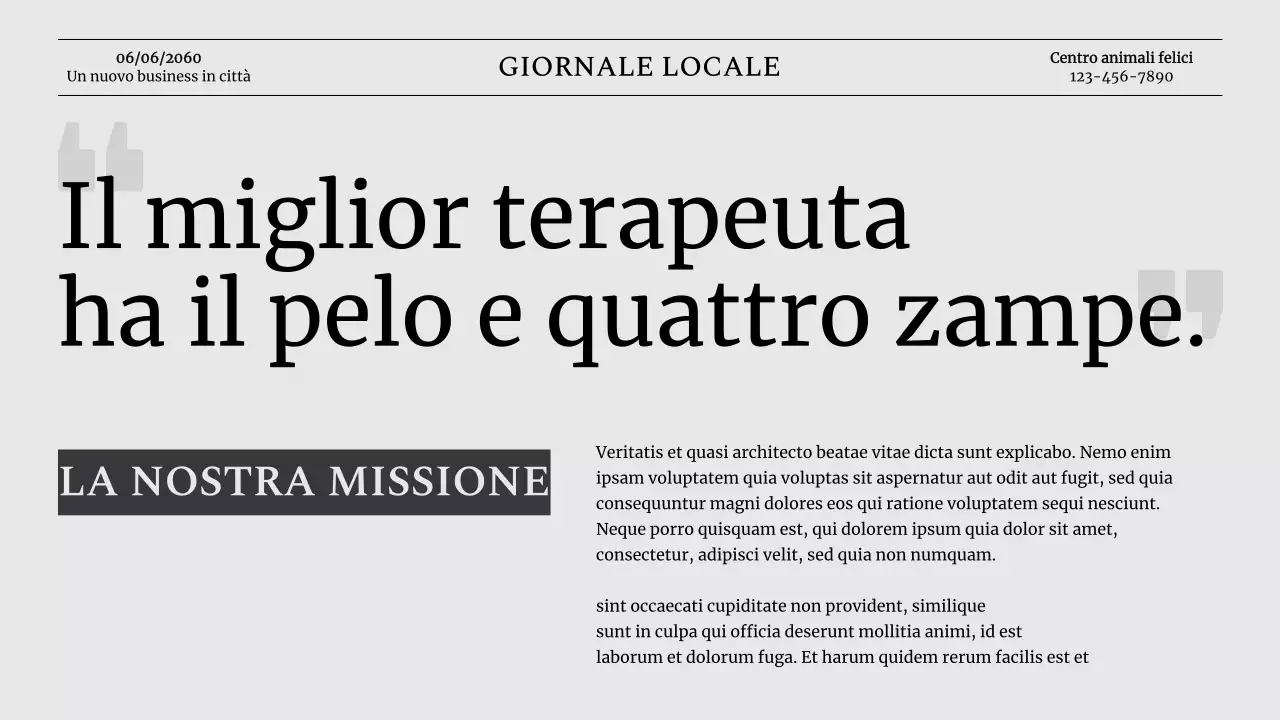 Introduzione dell'azienda Grey Classic Pet Business